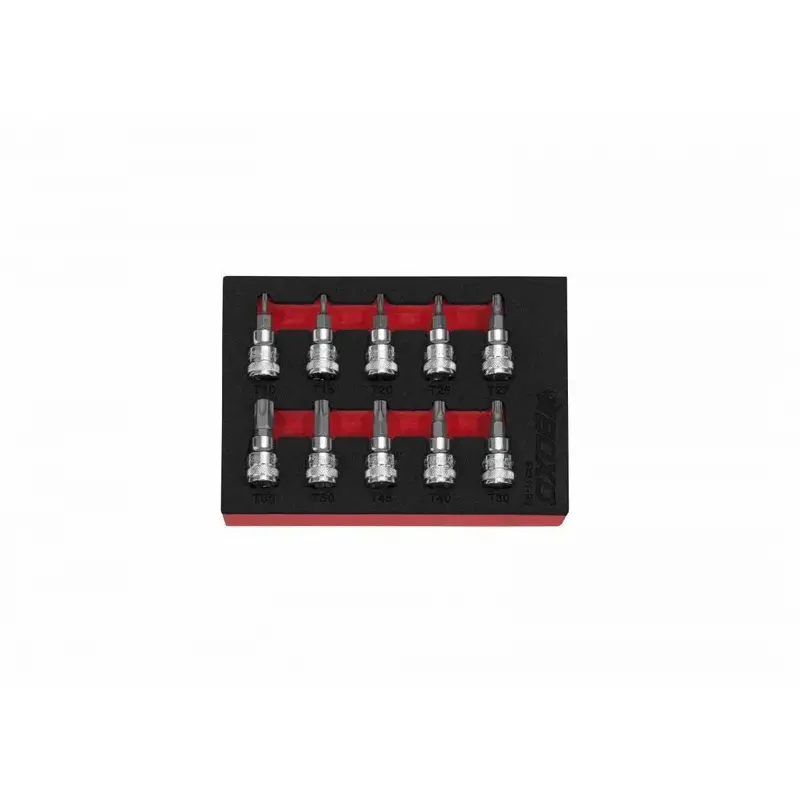 10-Piece 3/8-Inch Drive Torx Bit Socket Set — 1/9 Eva Foam Organizer 1