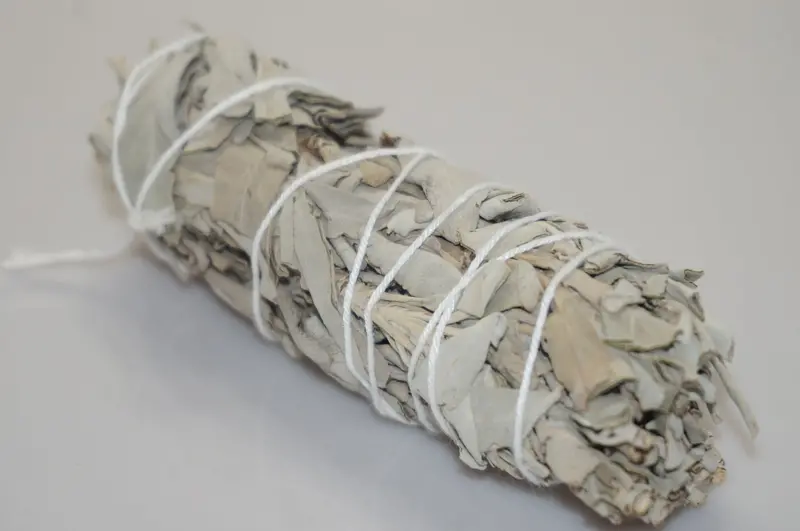 6-Inch White Sage Smudge Bundle – Ethically Sourced Cleansing Herb – Cali Culture Smoke Shop 1