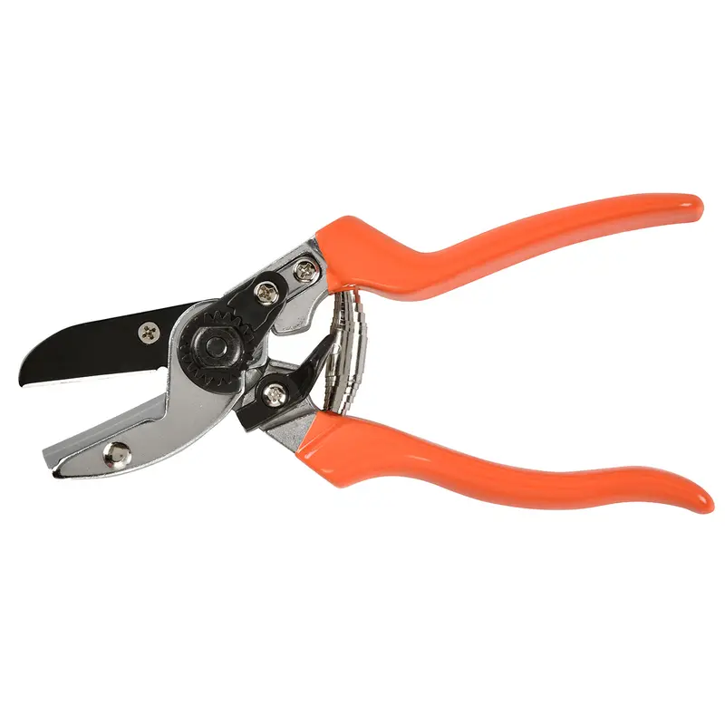 Anvil-Style Secateurs – Rhs-Endorsed For Tough Stems 1