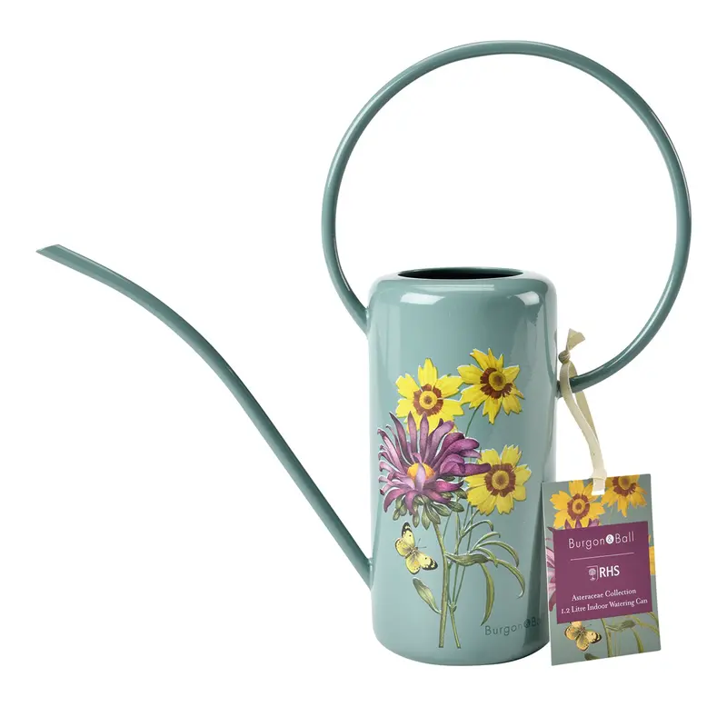Asteraceae Slim Indoor Watering Can – 1-Litre Copper-Trimmed Pouring Pitcher 1