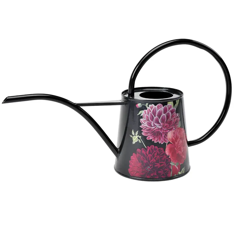 British Bloom Indoor Watering Can – Lightweight Design 1
