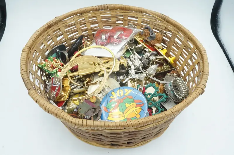 Curated Mixed Jewelry Box: Pins, Pendants, Clips & Earrings 1