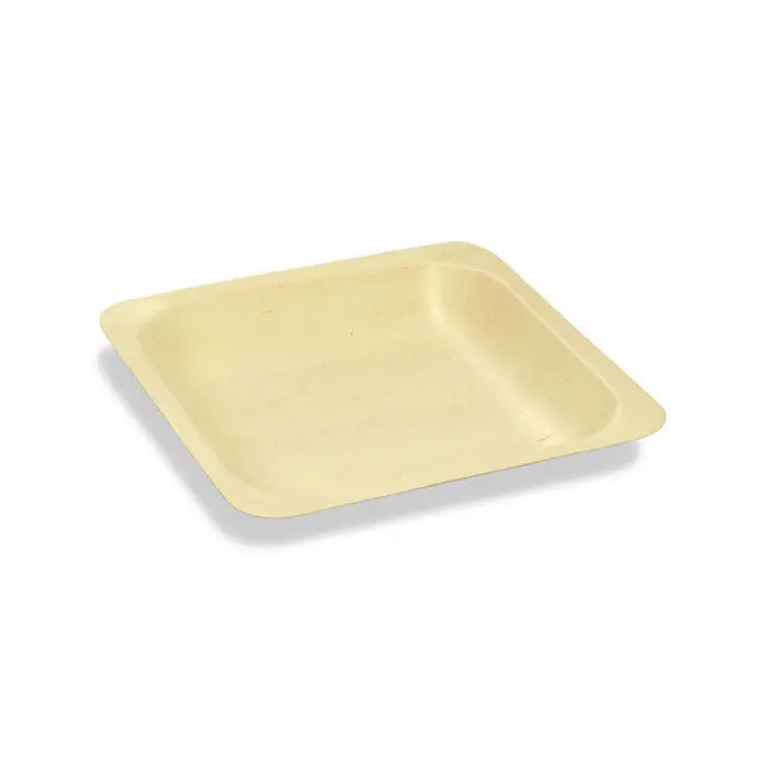 Foh Servewise 4.5-Inch Disposable Square Plate (Pack Of 50) 1