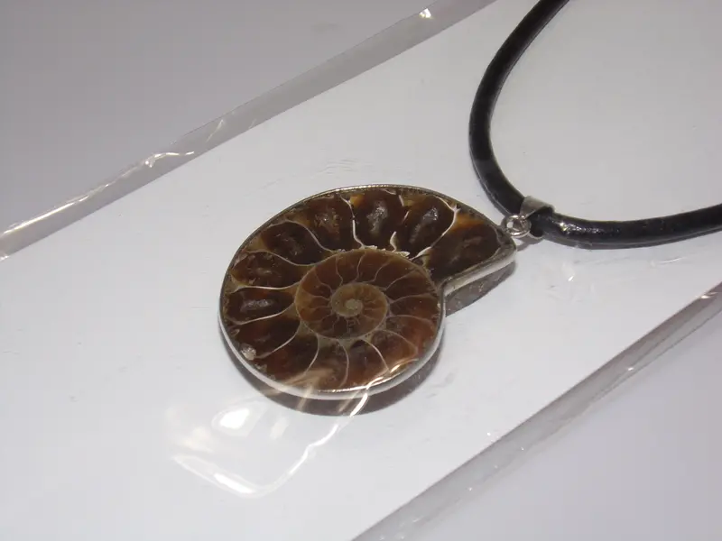 Fossil Pendant Necklace – Handcrafted Stone Jewelry – Cali Culture Smoke Shop 1