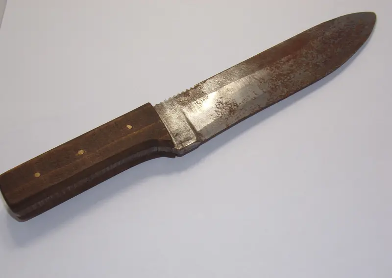 Handcrafted Wood-Handled Utility Knife 1