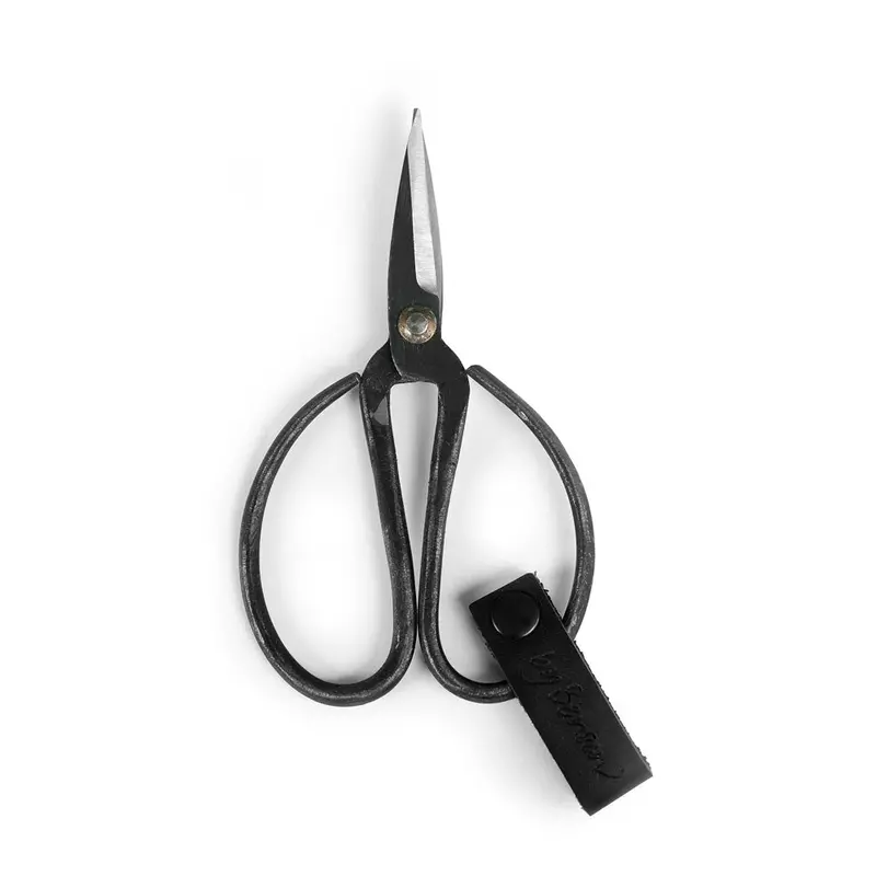 Precision Garden Scissors – Sax Lux Series 1