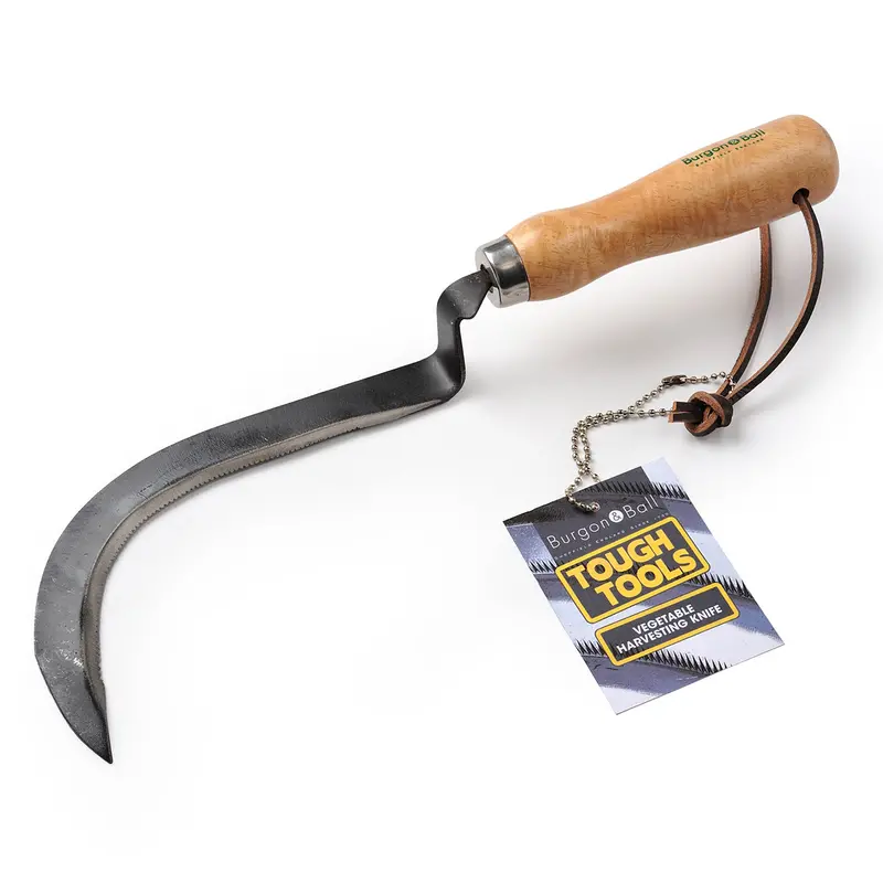 Precision Vegetable Harvesting Knife With Ergonomic Handle 1