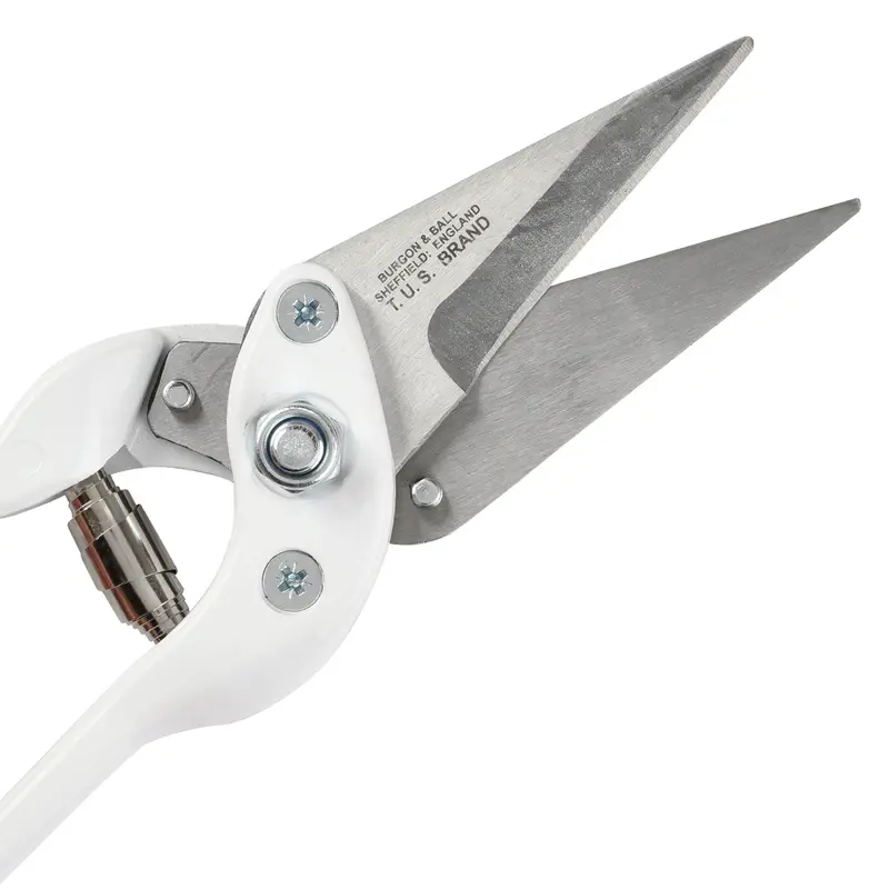 Professional Plain Footrot Shear – Spare Blades Only 1