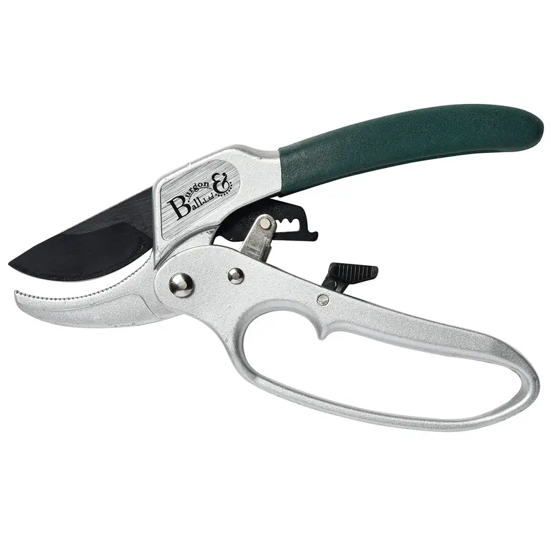 Ratchet Mechanism Pruner – Rhs-Certified Leveraged Power 1
