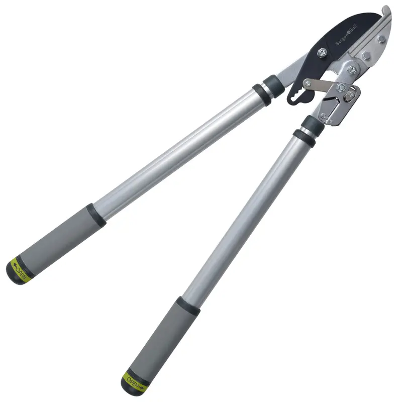 Telescopic Ratchet Lopper | Rhs-Approved Garden Pruning Tool 1