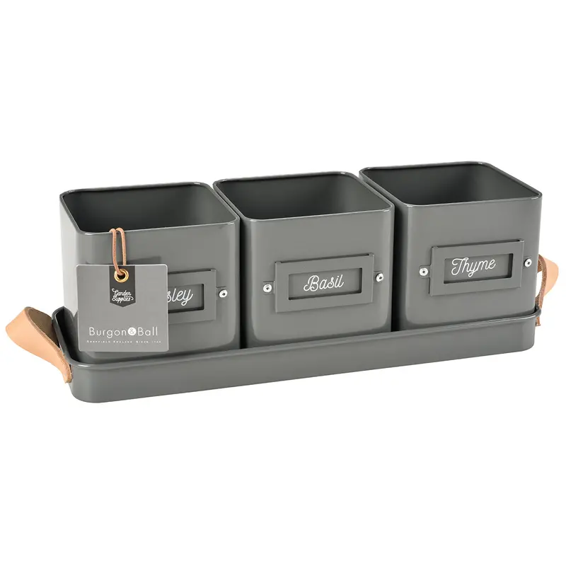Three Herb Pots In Charcoal-Finish Leather-Handled Tray 1