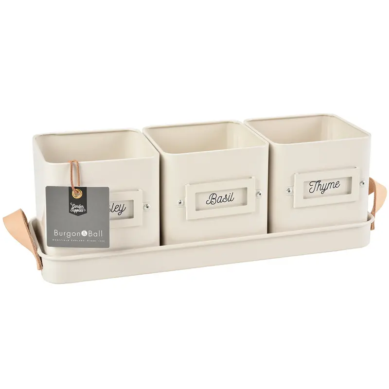 Three Herb Pots In Stone-Finished Leather-Handled Tray 1