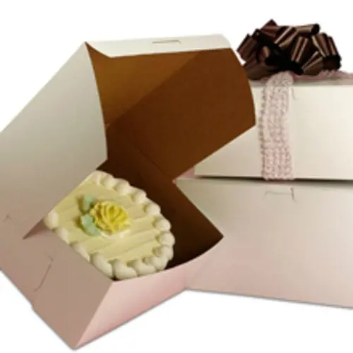 White Square Cake Storage Box – 10" X 10" X 5" Capacity 1