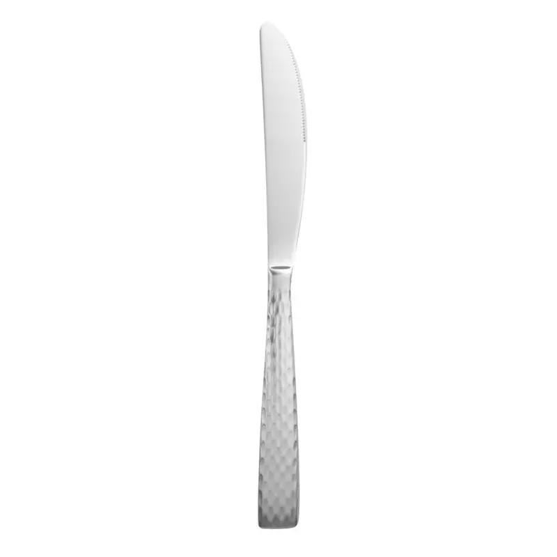 Wti 931-5921 Stainless Steel Dinner Knife – 9.5-Inch, Bulk Pack Of 12 1