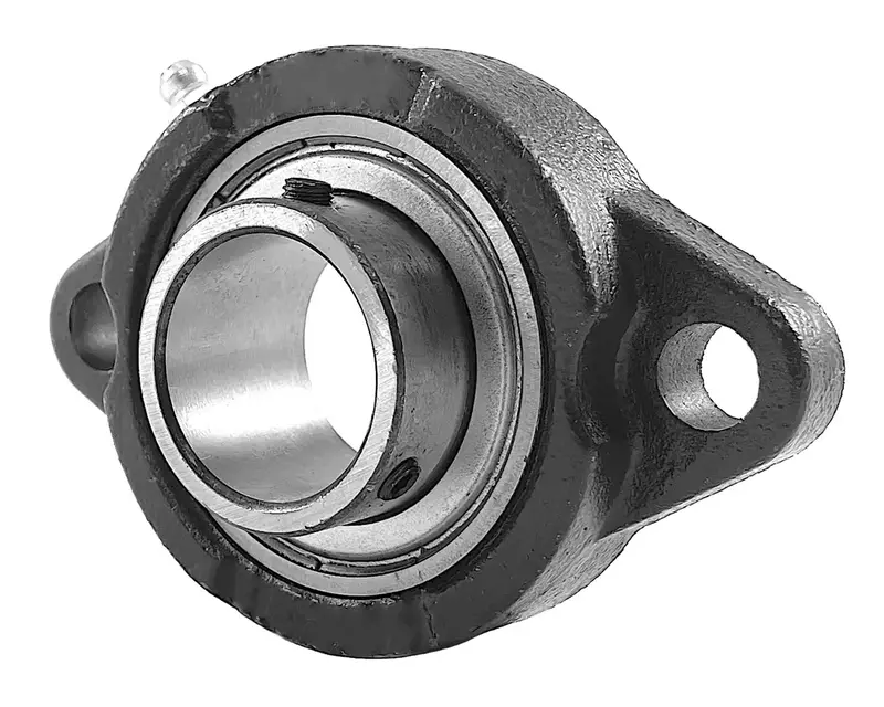 Sblf205 Two-Bolt Flange Mount Bearing – 25Mm Shaft Diameter 1